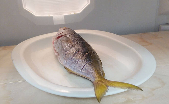 釣りの「ゲスト魚」で作るレシピ：タカベの一夜干し　冷蔵庫で干せばOK！