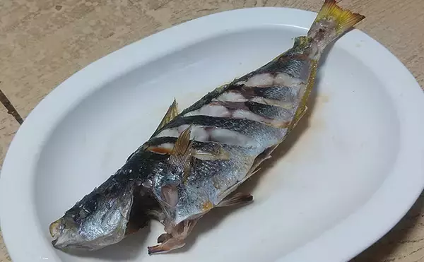 「釣りの「ゲスト魚」で作るレシピ：タカベの一夜干し　冷蔵庫で干せばOK！」の画像