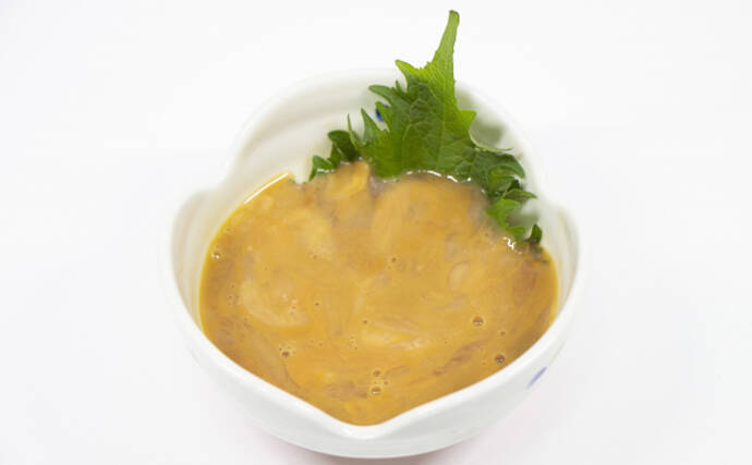 日本三大珍味「このわた」の生産が最盛期　理論上は無限に作れる？