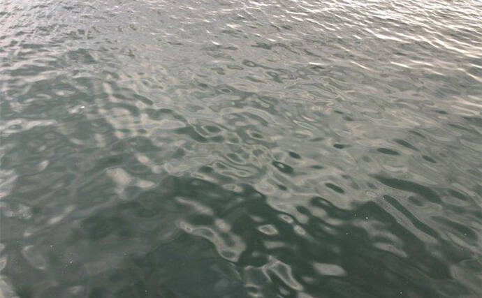 陸っぱりヒラメゲームのついでにシーバスを狙ったら入れ食い！　使用ルアーは『IJ16』のみ