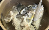 「初めて釣った良型キビレで作る「鯛雑炊」レシピ　頑張って作ったのに味がしない？」の画像10