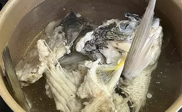 「初めて釣った良型キビレで作る「鯛雑炊」レシピ　頑張って作ったのに味がしない？」の画像