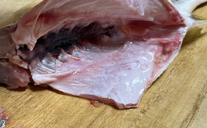 初めて釣った良型キビレで作る「鯛雑炊」レシピ　頑張って作ったのに味がしない？