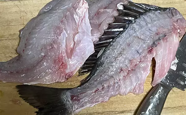 「初めて釣った良型キビレで作る「鯛雑炊」レシピ　頑張って作ったのに味がしない？」の画像