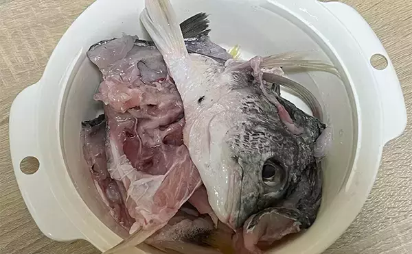 「初めて釣った良型キビレで作る「鯛雑炊」レシピ　頑張って作ったのに味がしない？」の画像