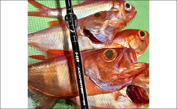 「「フラッシャーサビキで赤いダイヤを狙う！」半夜キンメダイ釣りで2ケタ釣果達成【恵津丸】」の画像