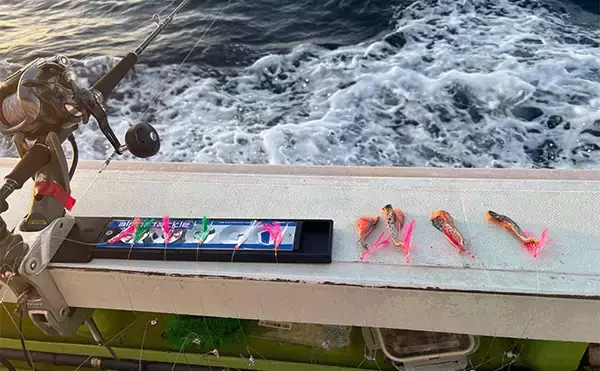 「「フラッシャーサビキで赤いダイヤを狙う！」半夜キンメダイ釣りで2ケタ釣果達成【恵津丸】」の画像