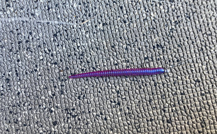 53cmの超大型アジお目見え！【大阪】バチコンアジングで良型アジが続々登場