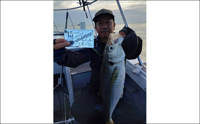 53cmの超大型アジお目見え！【大阪】バチコンアジングで良型アジが続々登場