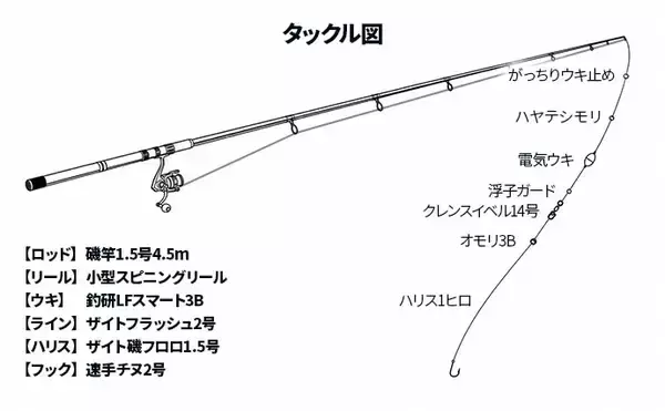 「夜の堤防釣りでヒラ・サッパ・セイゴを手中【松合新港・熊本】サビキと電気ウキ仕掛けで攻略」の画像