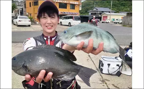 「日本記録に迫る【50cmアカハタ】を釣りあげた　磯でのルアー釣りで手中」の画像