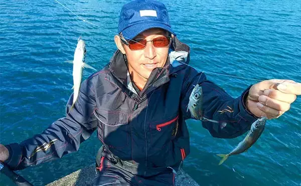 「三重・錦漁港での堤防サビキ釣りで15cm級のアジが入れ食いで大満足」の画像