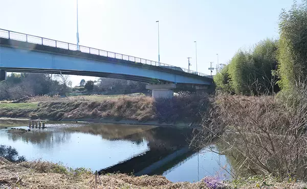 「今週のヘラブナ推薦釣り場2024【埼玉・市野川】」の画像