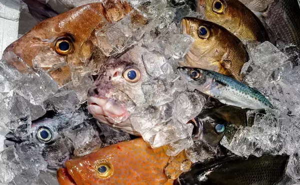 「魚の生臭さ」の基準は国によって様々　原因となる物質自体が異なる？