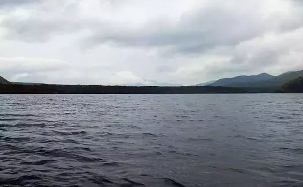 「西湖のボートワカサギ釣りで良型交じりに183尾キャッチ！【山梨】群れを追って晩秋の湖を攻略」の画像