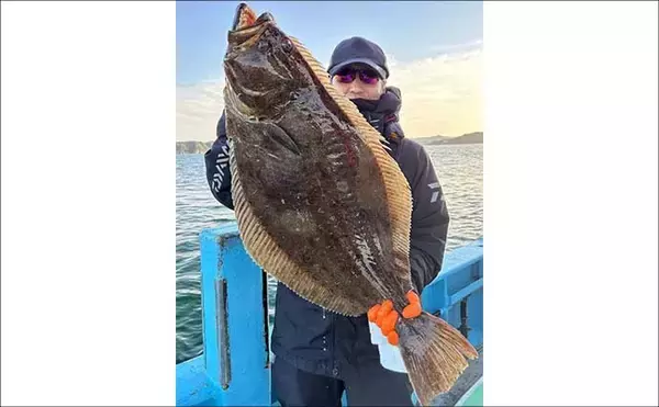「【沖釣り釣果速報】トラフグに座布団ヒラメ乱舞！泳がせ＆カットウで高級魚続々（三重）」の画像