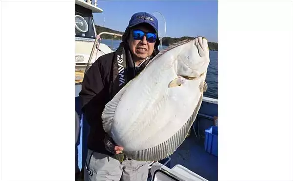 「【沖釣り釣果速報】トラフグに座布団ヒラメ乱舞！泳がせ＆カットウで高級魚続々（三重）」の画像
