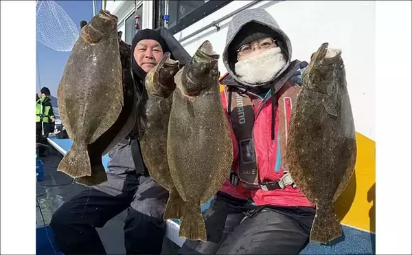 「【沖釣り釣果速報】トラフグに座布団ヒラメ乱舞！泳がせ＆カットウで高級魚続々（三重）」の画像