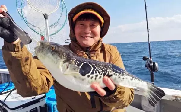 「【沖釣り釣果速報】トラフグに座布団ヒラメ乱舞！泳がせ＆カットウで高級魚続々（三重）」の画像