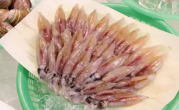 「「鮮度抜群でも踊り食いは絶対NG！」 富山のホタルイカすくいは今年チャンスかも？」の画像