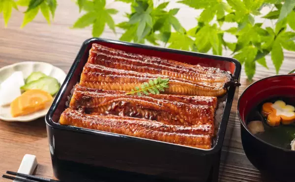 「「安価な完全養殖ウナギ」がいよいよ市場へ流通！　社会への予想される影響とは」の画像