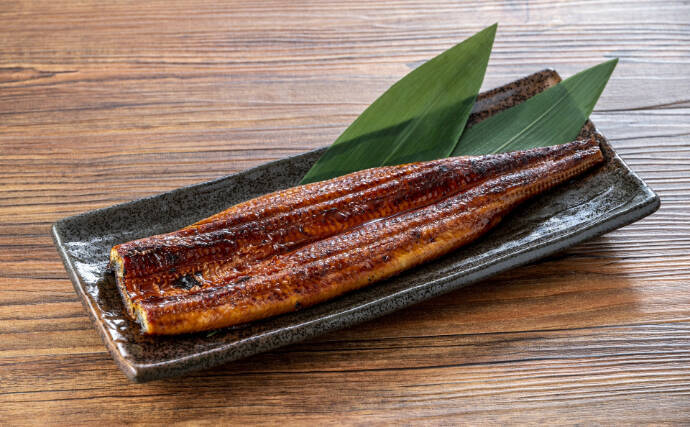 「安価な完全養殖ウナギ」がいよいよ市場へ流通！　社会への予想される影響とは