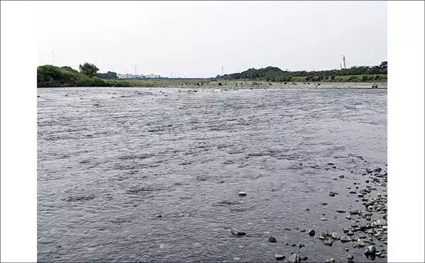 「酒匂川でのアユイングで14〜16cmのアユ3匹キャッチに成功！【神奈川】」の画像