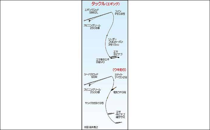 波止ヤリイカ釣りで本命12尾　エサ巻きエギ＆電気ウキ釣りで挑戦