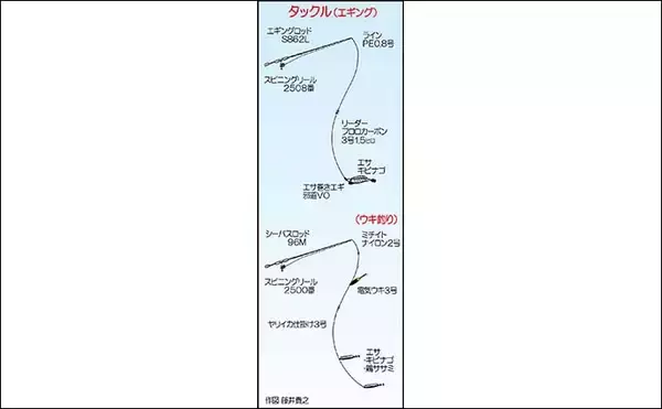 「波止ヤリイカ釣りで本命12尾　エサ巻きエギ＆電気ウキ釣りで挑戦」の画像