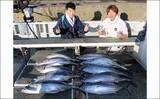 「【沖釣り釣果速報】トンボジギング船で24ヒット15キャッチと好調継続中！（三重）」の画像13