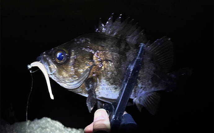 「やみくもに投げても魚は釣れない！」漁港や堤防で狙うべきポイントを徹底解説