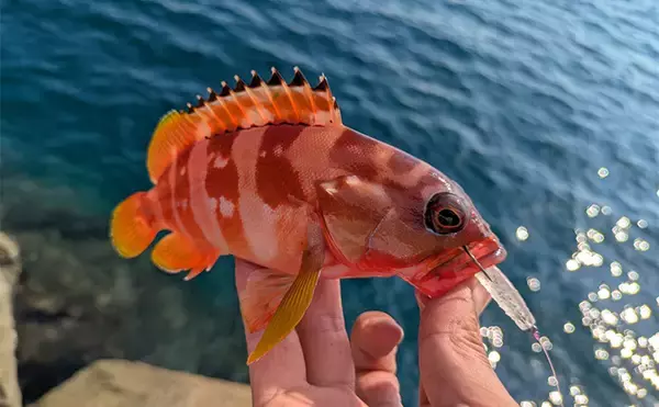 「「秋の釣りは天気急変に注意！」荒天ロックフィッシュ釣行で見えた安全対策と攻略のヒント」の画像