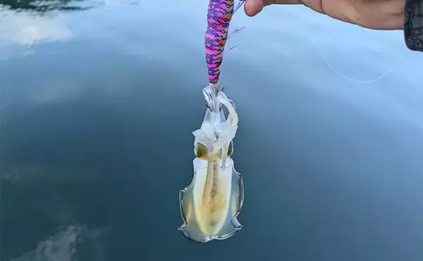 「「秋の釣りは天気急変に注意！」荒天ロックフィッシュ釣行で見えた安全対策と攻略のヒント」の画像