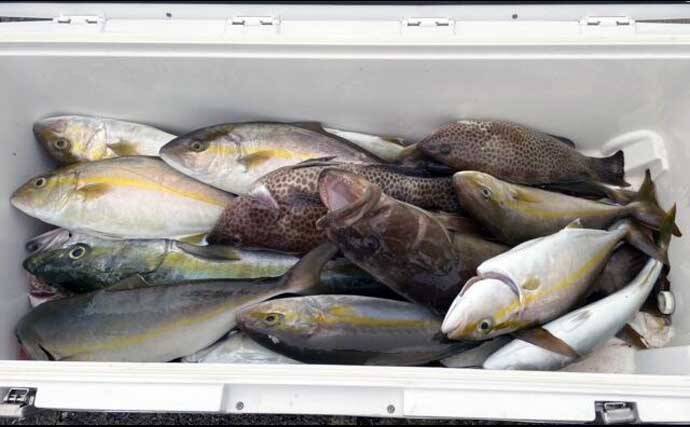 【沖のルアー釣果速報】伊勢湾キャスティングゲームでサワラ＆サゴシ連発！（三重・愛知）