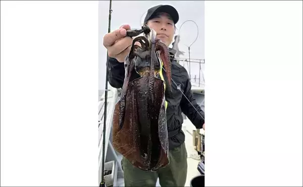 「【沖のルアー釣果速報】伊勢湾キャスティングゲームでサワラ＆サゴシ連発！（三重・愛知）」の画像