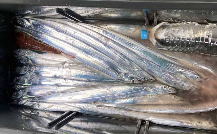 【沖のルアー釣果速報】伊勢湾キャスティングゲームでサワラ＆サゴシ連発！（三重・愛知）