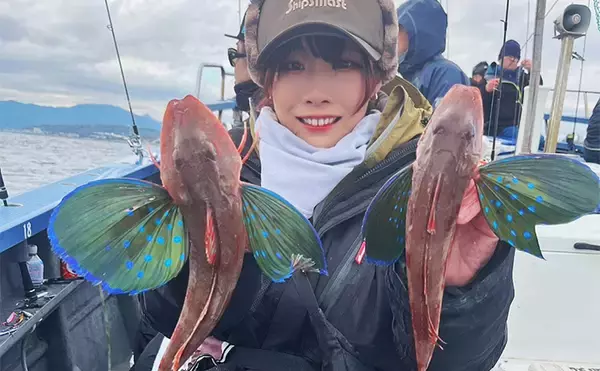 「相模湾のホウボウ釣りがシーズンイン！」天秤仕掛けのエサ釣りで竿頭ゲット【庄三郎丸】