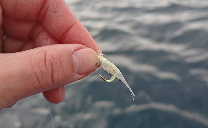 「相模湾のホウボウ釣りがシーズンイン！」天秤仕掛けのエサ釣りで竿頭ゲット【庄三郎丸】