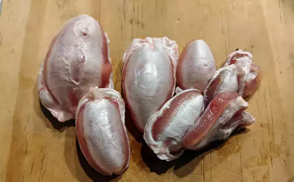 「「相模湾のホウボウ釣りがシーズンイン！」天秤仕掛けのエサ釣りで竿頭ゲット【庄三郎丸】」の画像