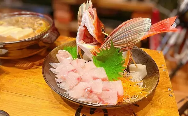 「「相模湾のホウボウ釣りがシーズンイン！」天秤仕掛けのエサ釣りで竿頭ゲット【庄三郎丸】」の画像