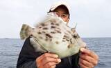 「【沖釣り釣果速報】船カワハギ釣りで33.5cm特大サイズ浮上！サオ頭21匹の好釣果（三重）」の画像10