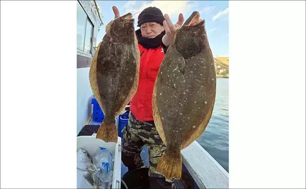 「【沖釣り釣果速報】船カワハギ釣りで33.5cm特大サイズ浮上！サオ頭21匹の好釣果（三重）」の画像