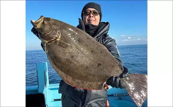 「【沖釣り釣果速報】船カワハギ釣りで33.5cm特大サイズ浮上！サオ頭21匹の好釣果（三重）」の画像