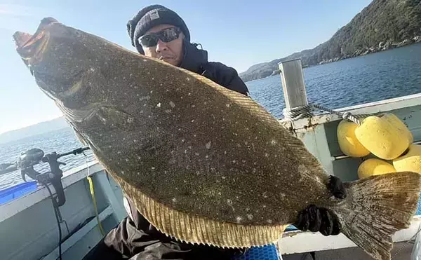 「【沖釣り釣果速報】船カワハギ釣りで33.5cm特大サイズ浮上！サオ頭21匹の好釣果（三重）」の画像