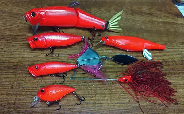 「釣りの聖地に移住して気付いたデメリット　釣りに行けない日の過ごし方に落とし穴あり？」の画像