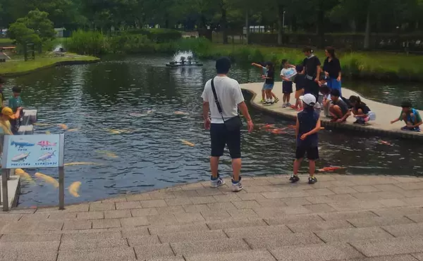 「淡水大型魚の日本記録保持者が「さいたま水族館」へ！　憧れのコクレンを前に釘付け」の画像