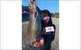 「エリアトラウトフィッシングで40cm超ニジマス　ヤマメも顔出し」の画像3