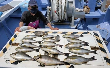 【三重・愛知】沖のエサ釣り最新釣果　イサキ＆キス船で数型ともに好調