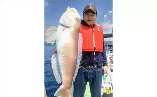 「【三重・愛知】沖のエサ釣り最新釣果　イサキ＆キス船で数型ともに好調」の画像