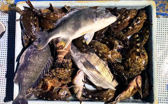 【三重・愛知】沖のエサ釣り最新釣果　イサキ＆キス船で数型ともに好調